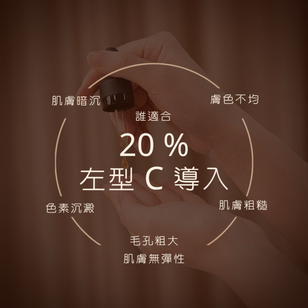 左型C導入