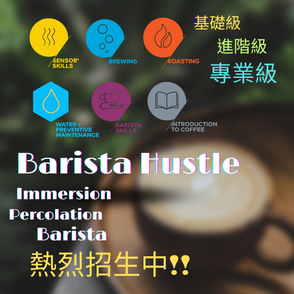 Barista Hustle咖啡證照課程