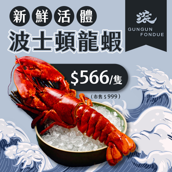 🦞 會員限定｜活體龍蝦限量回饋