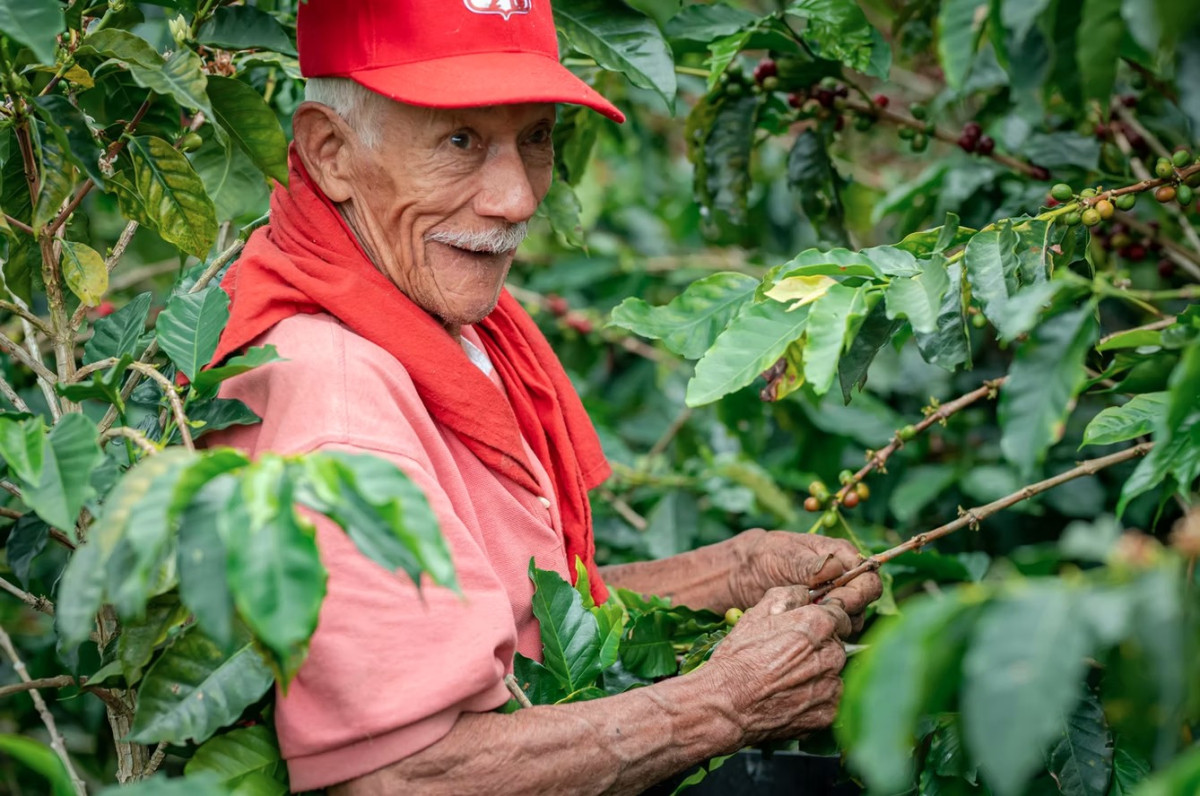 哥倫比亞 克菈菈莊園 紫醉金迷 葡萄蜜處理 Colombia Villa Clara Lush Crush Grape Honey