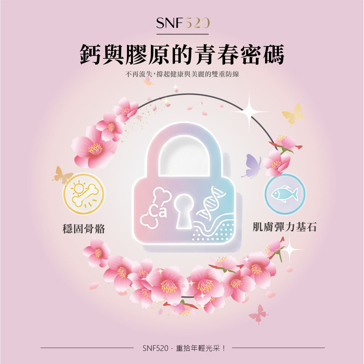 SNF520胜肽膠原蛋白30入/盒