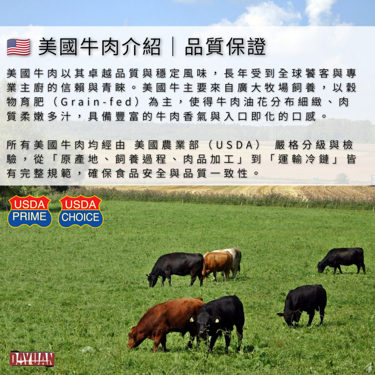 【商用批發】美國嫩肩牛肉串燒