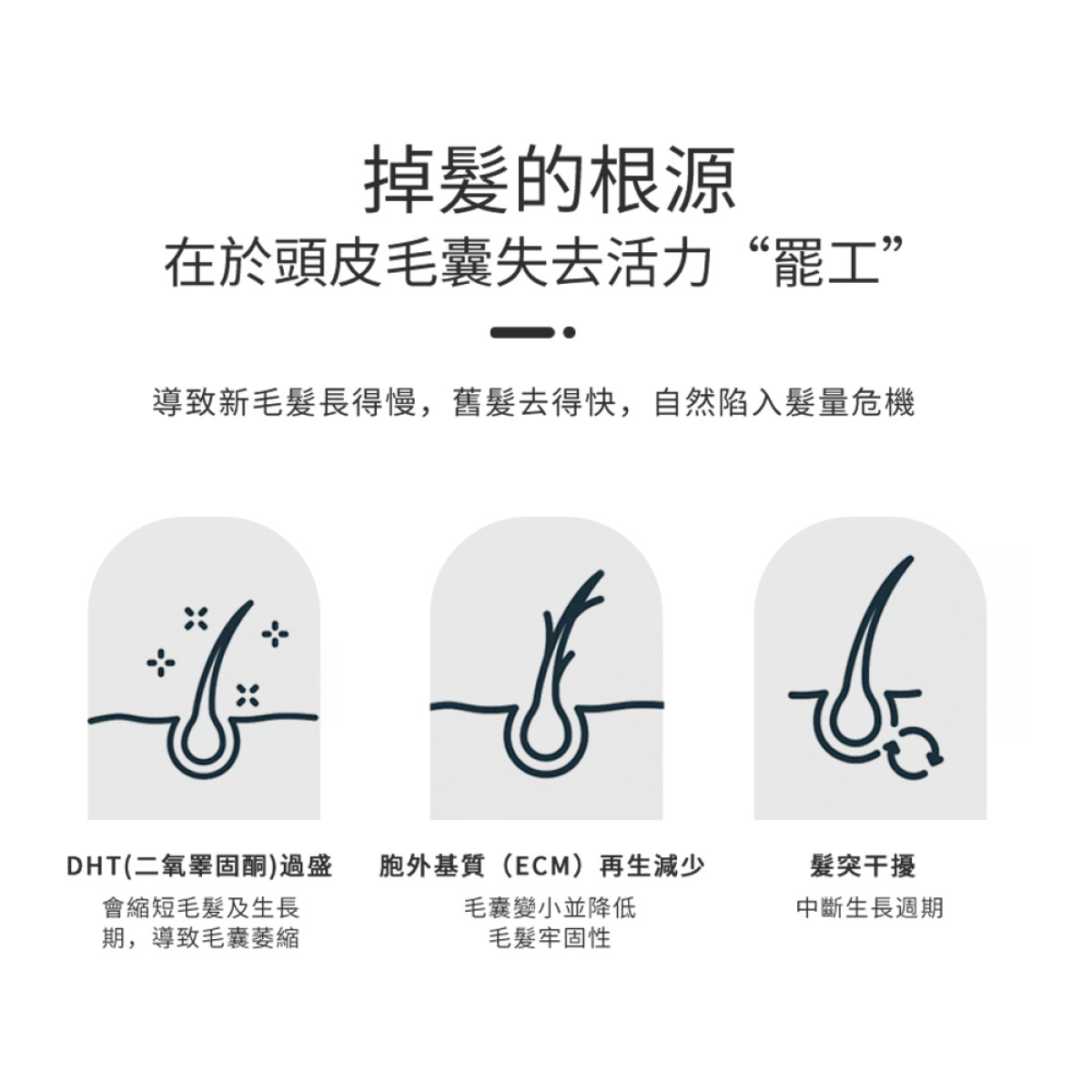 毛髮滋養液 10ml