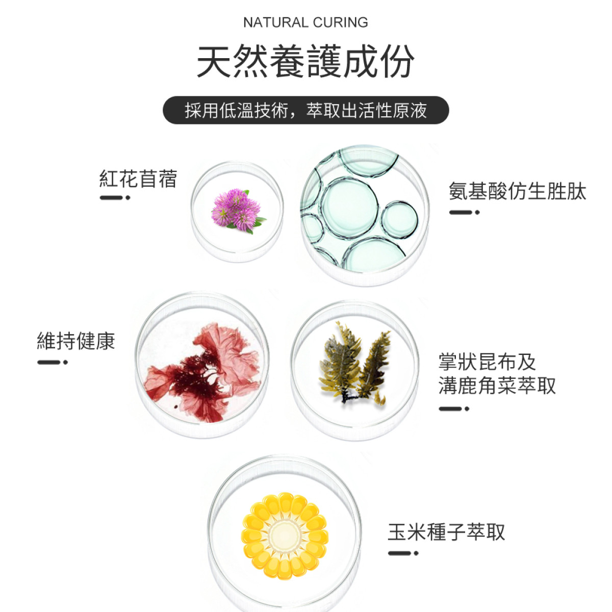 毛髮滋養液 10ml