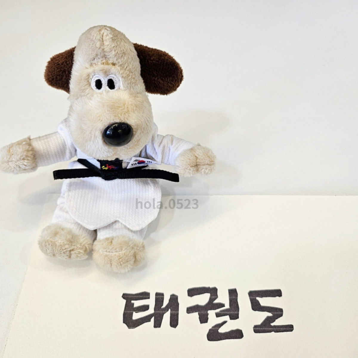 🇰🇷韓國獨家跆拳道掌門狗鑰匙圈