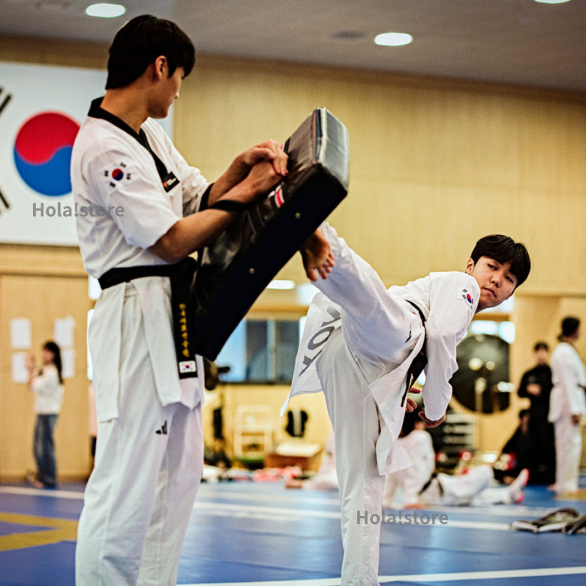 ADIDAS 愛迪達 跆拳道大方靶 後踢靶