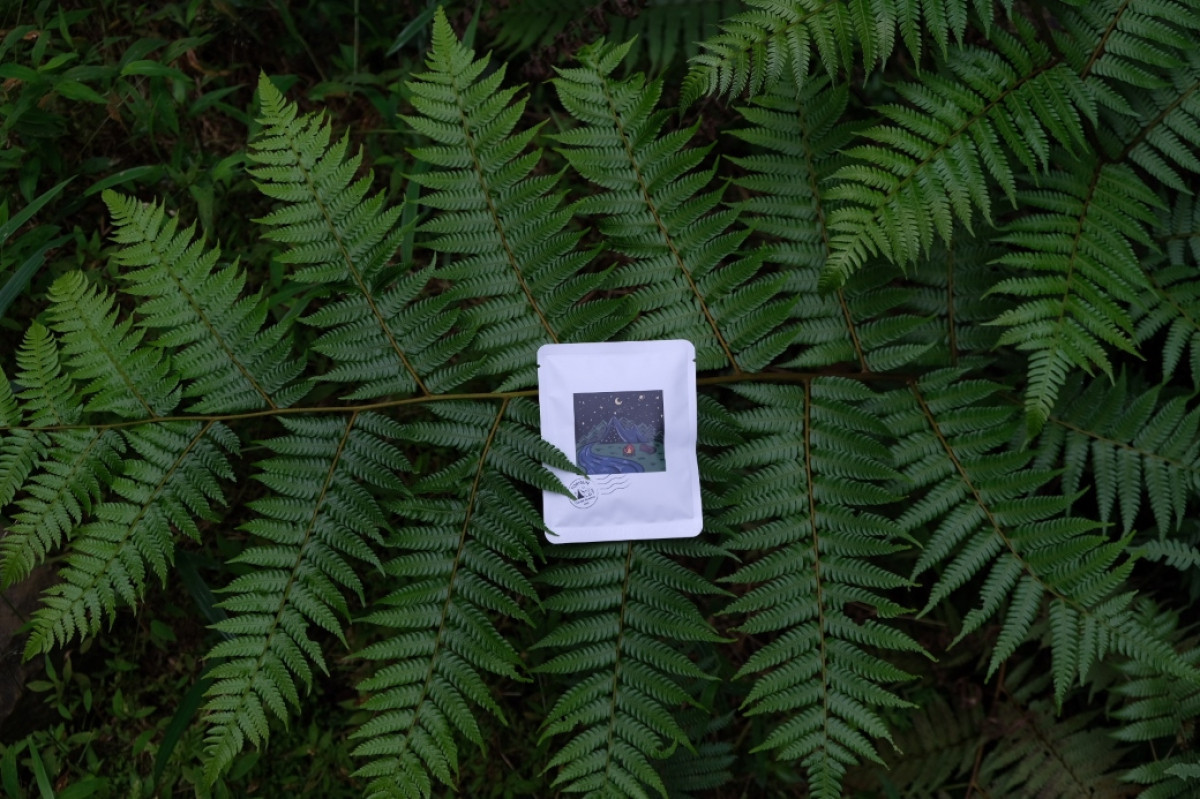 [嶌日咖啡]經典大，中，小禮包