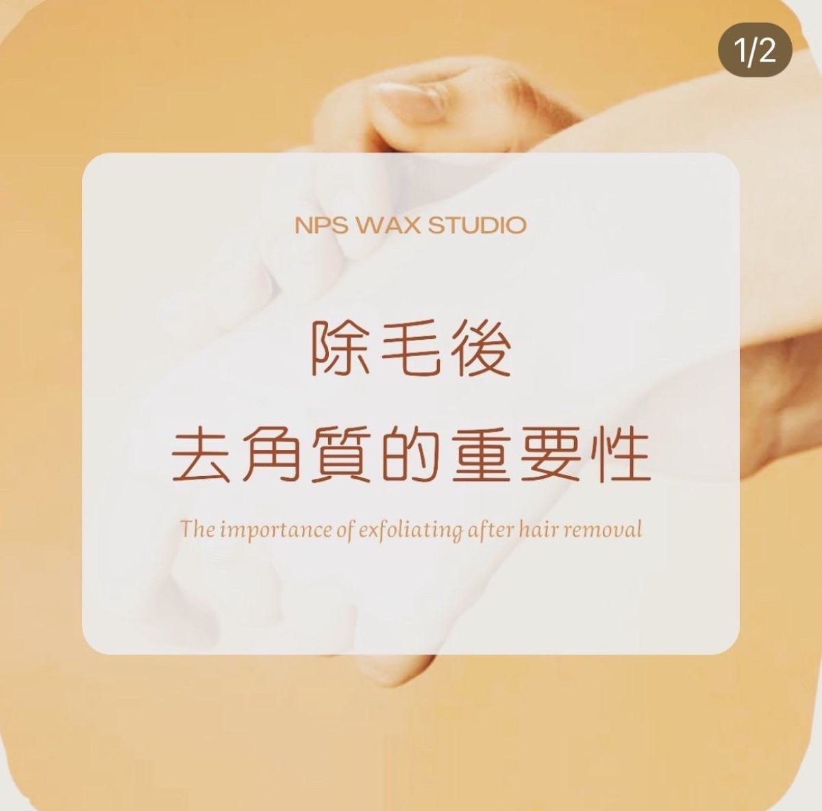 女士熱蠟除毛培訓全科班