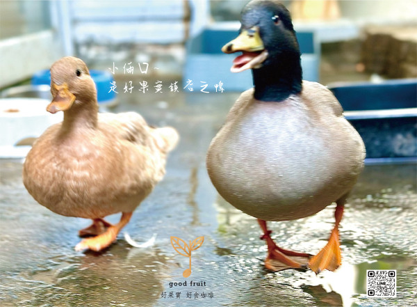 店鴨陪您吃好料