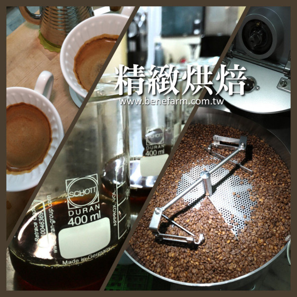 呈現每款豆最理想的那一味