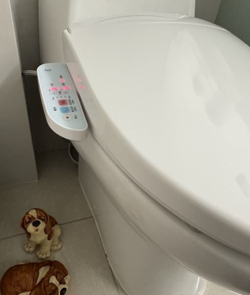 Disinfection toilet.